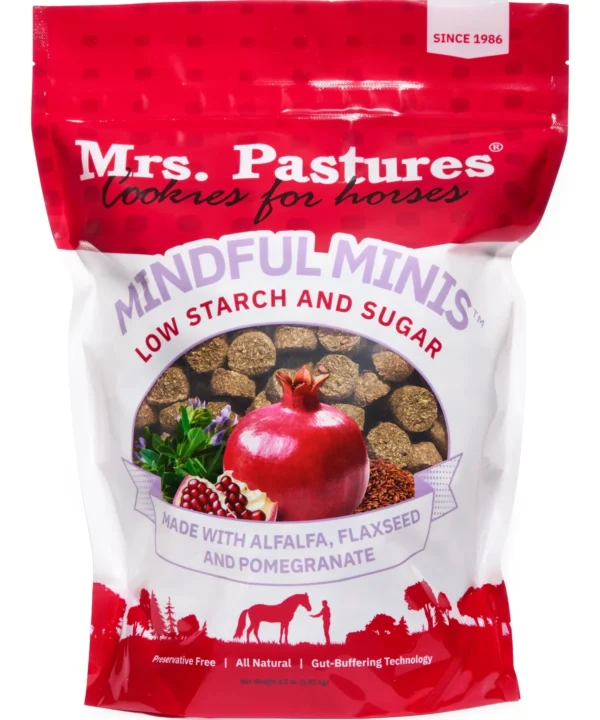 Mindful Minis™